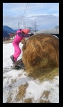 Via Transilvanica Bran -02-01-2026 - Bogdan Balaban