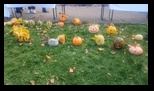 Baia de Aries -31-10-2025 - Bogdan Balaban