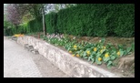 I Giardini di Zoe -27-04-2025 - Bogdan Balaban