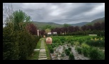 I Giardini di Zoe -27-04-2025 - Bogdan Balaban